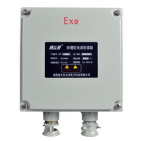 KBT-AD100防爆防雷箱